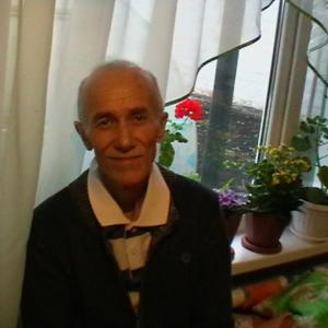 Раиль, 75 лет, Альметьевск