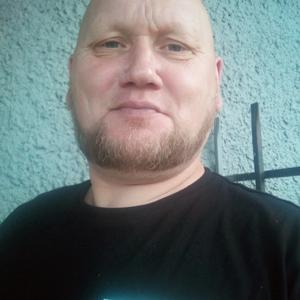 Володя, 51 год, Вологда