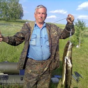 Владимир Коновалов, 76 лет, Курган