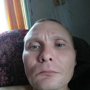 Fedor, 47 лет, Новобелокатай