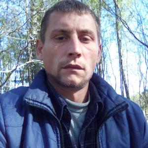 Максим, 33 года, Калининград