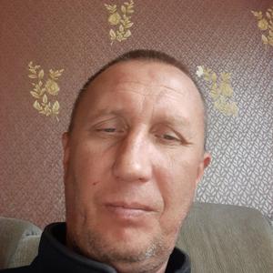 Парни в Миассе: Вячеслав, 51 - ищет девушку из Миасса