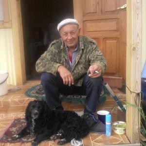 Парни в Томске: Александр, 73 - ищет девушку из Томска
