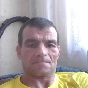 Владимир, 49 лет, Чайковский