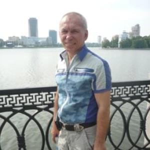 Данил, 71 год, Пышма