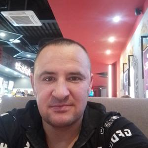 Михаил, 40 лет, Псков