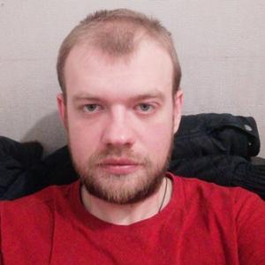 Artem, 32 года, Красногорск