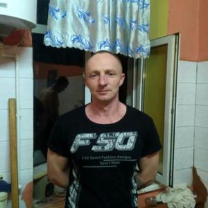 Alexander Gur, 42 года, Смоленск