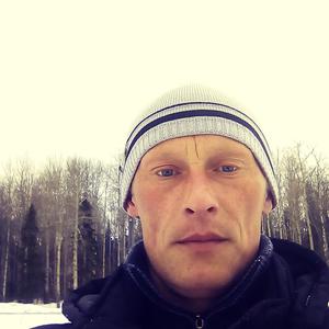 Сергей, 43 года, Йошкар-Ола