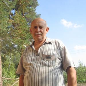 Viktor, 74 года, Коломна