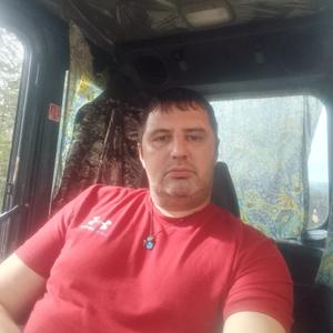 Евгений, 37 лет, Братск