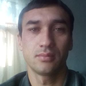 Альер, 33 года, Томск