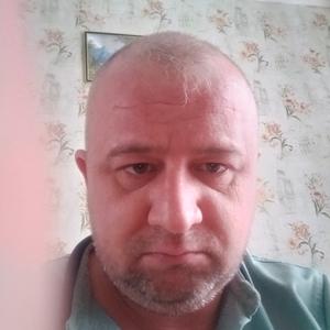 Парни в Казани (Татарстан): Игорь, 43 - ищет девушку из Казани (Татарстан)