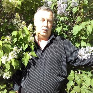Сергей Сульдин, 66 лет, Новосибирск