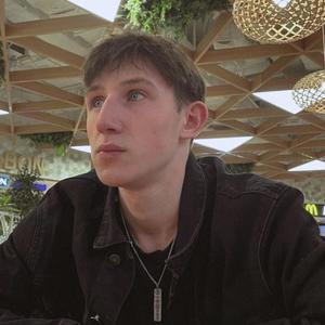Радомир, 19 лет, Казань