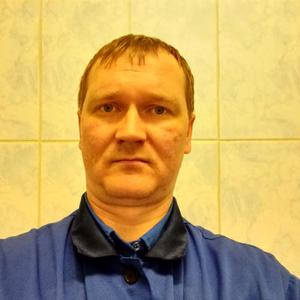 Игорь Малиновкин, 41 год, Тольятти
