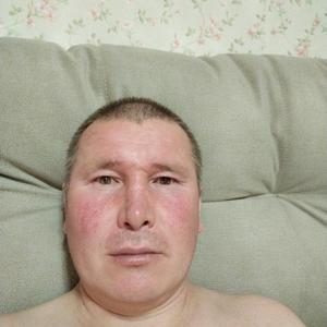 Фарид, 44 года, Новосибирск