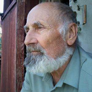 Валерий, 78 лет, Новосибирск