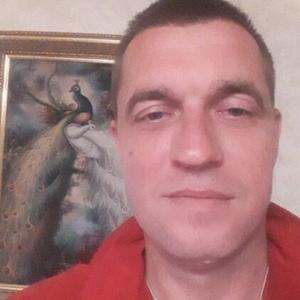 Андрей, 43 года, Токаревка