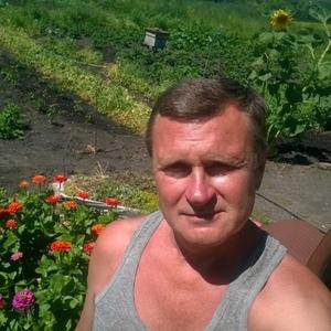 Владимир Толстунов, 58 лет, Белгород