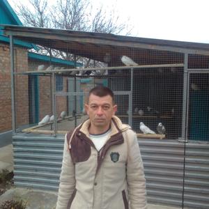 Руслан, 44 года, Ипатово
