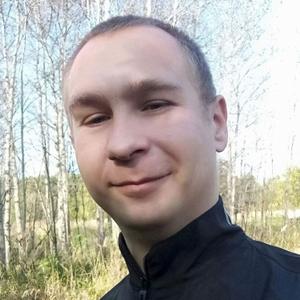 Александр, 34 года, Богородск