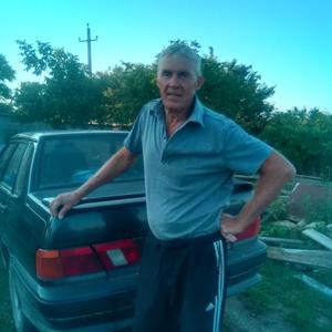 Игорь, 70 лет, Тамань