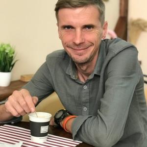 Санек Молодецкий, 43 года, Харьков