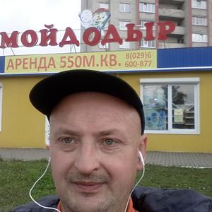 Павлик, 49 лет, Калининград