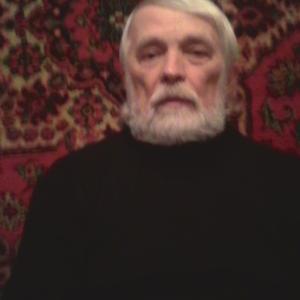 Алексей Астафьев, 64 года, Благовещенск