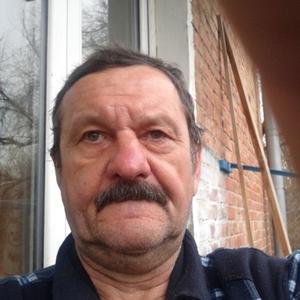 Николай Василюк, 66 лет, Батайск