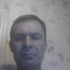 Михаил, 46 лет, Тула
