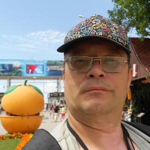 Михаил, 53 года, Снежинск