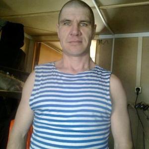Парни в Стерлитамаке (Башкортостан): Сергей, 46 - ищет девушку из Стерлитамака (Башкортостан)