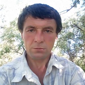 Виталик, 45 лет, Буденновск