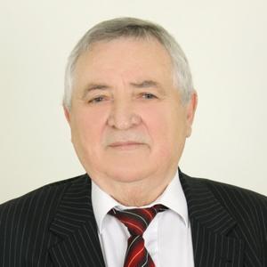 Владимир, 72 года, Гурьевск
