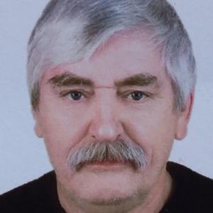 Олег, 65 лет, Челябинск