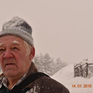 Игорь, 83 года, Ростов-на-Дону