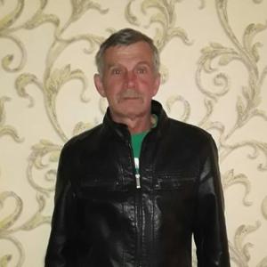 Анатолий Шурыгин, 65 лет, Новосибирск