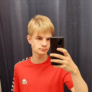 Дмитрий, 20 лет, Витебск