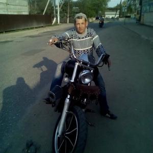 Алексей Альфер, 44 года, Рязань