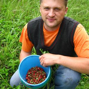 Сергей, 46 лет, Карасук