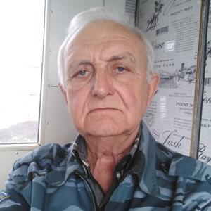 Вячеслав, 72 года, Краснодар