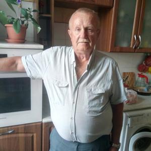 Парни в Магнитогорске: Вячеслав Варламов, 69 - ищет девушку из Магнитогорска
