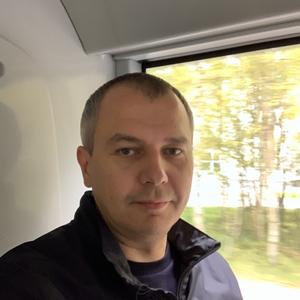 Дмитрий, 44 года, Мончегорск