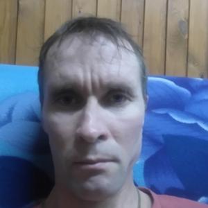 Владимир, 44 года, Звенигово