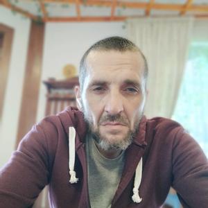 Роман, 42 года, Черняховск