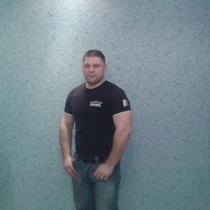 Сергей, 44 года, Няндома