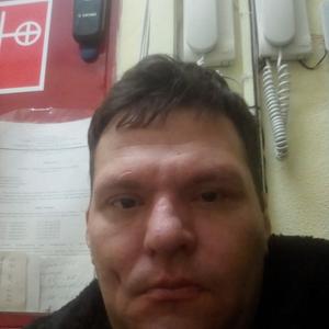 Сергей, 47 лет, Краснозаводск
