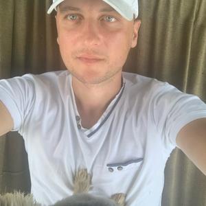 Владимир Шкут, 42 года, Минск
